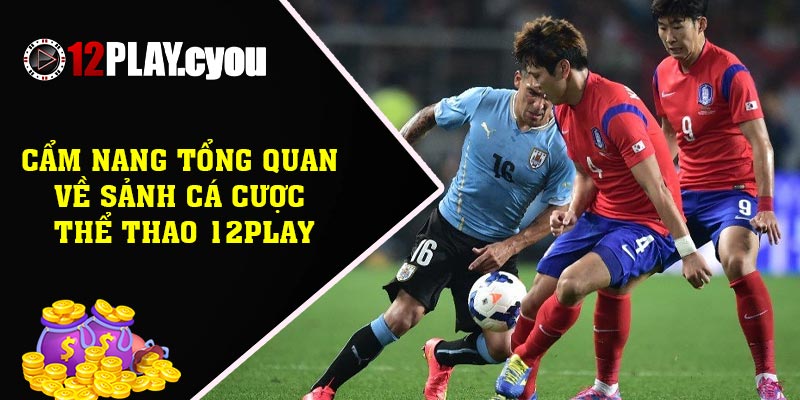 Cẩm nang tổng quan về sảnh cá cược thể thao 12play