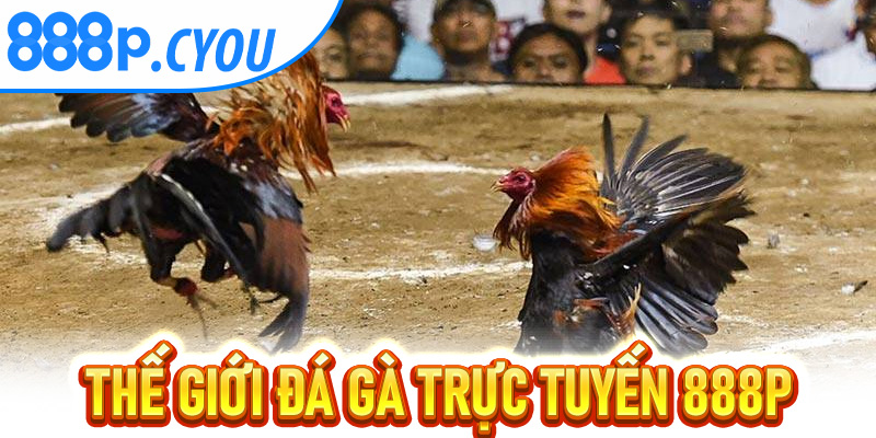 Hành Trình Chinh Phục Thế Giới Đá Gà Trực Tuyến 888P