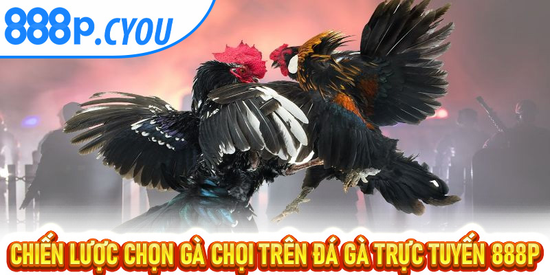 Chiến Lược Chọn Gà Chọi Trên Đá Gà Trực Tuyến 888P